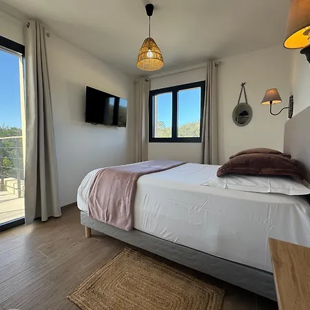 De Standing Avec Piscine Et Jacuzzi Villa Belgodère
