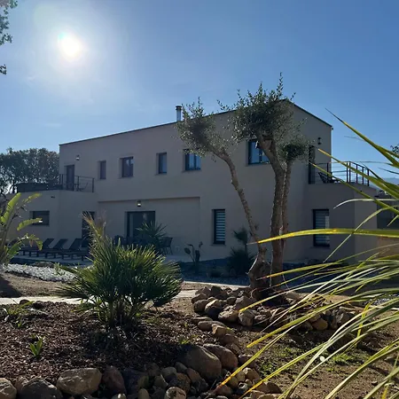 Villa De Standing Avec Piscine Et Jacuzzi Belgodère