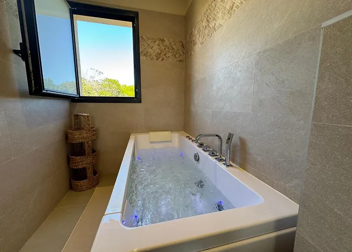 De Standing Avec Piscine Et Jacuzzi *